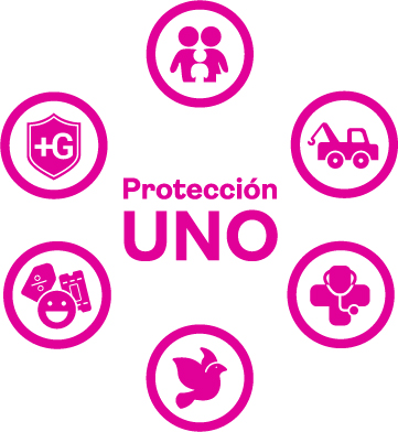 Logotipo - Servicios de Asistencia PIF Uno