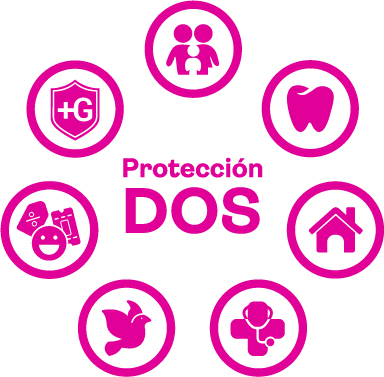 Logotipo - Servicios de Asistencia PIF Dos